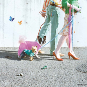 黑巨人大战侏儒女欧洲美女与动物交配视频
